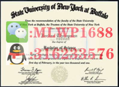 美国​纽约州立大学布法罗分校毕业证书模板
