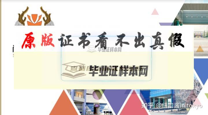 日本?尚美學園大學畢業證書模板