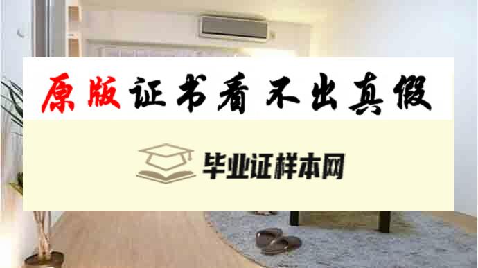 日本大手前大学毕业证书模板