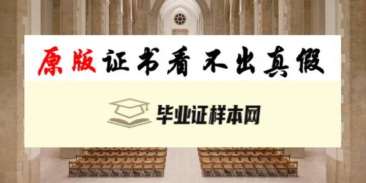 ​英国萨里大学毕业证书模板