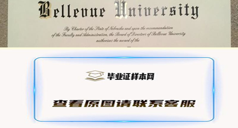 贝尔维尤大学文凭