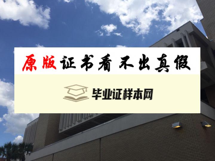 美国南佛罗里达大学毕业证书样本