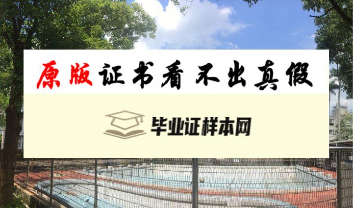 台湾​实践大学毕业证书模板