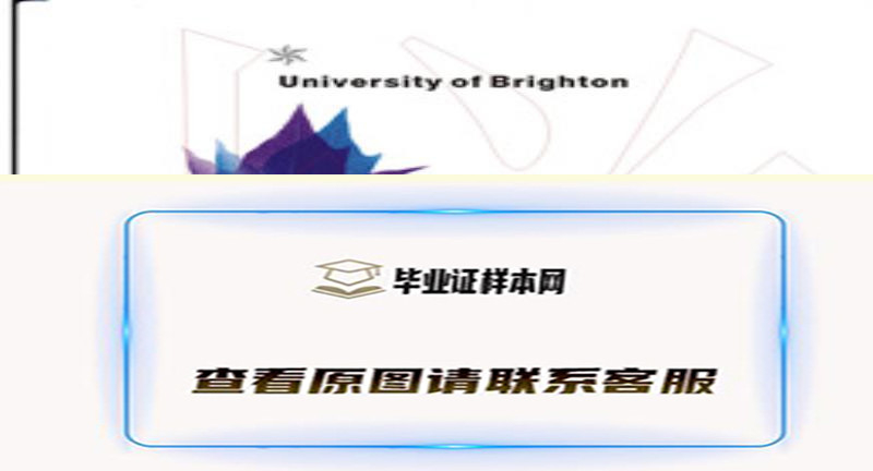 英国布莱顿大学文凭University of Brighton样本