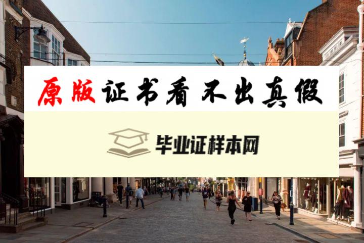 ​英国萨里大学毕业证书模板