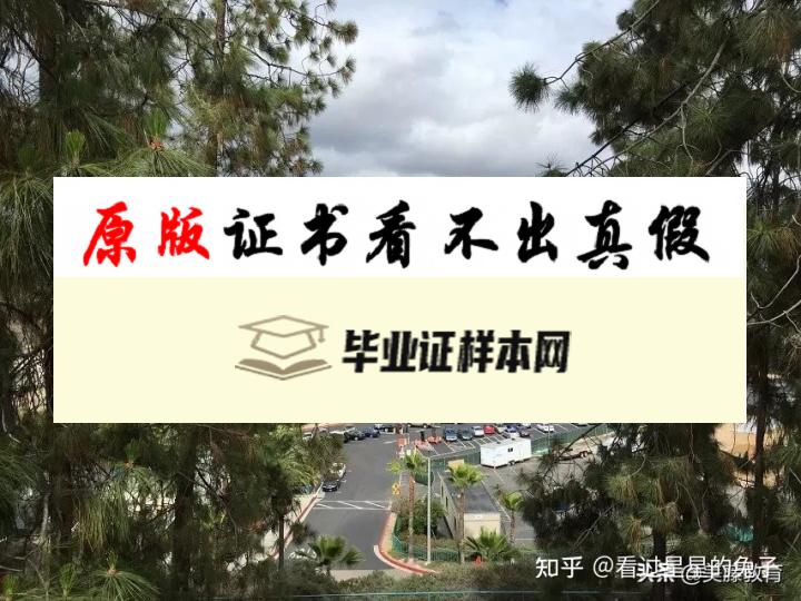 东新墨西哥大学毕业证书样本