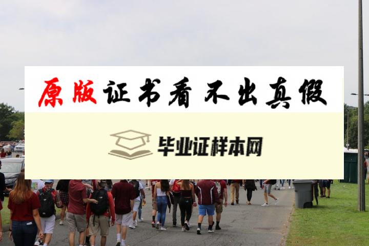 美国麻省大学毕业证书模板