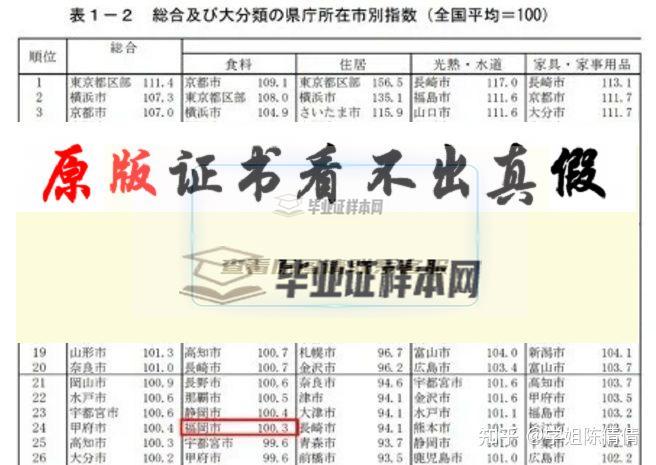 日本九州國際大學畢業證書模板