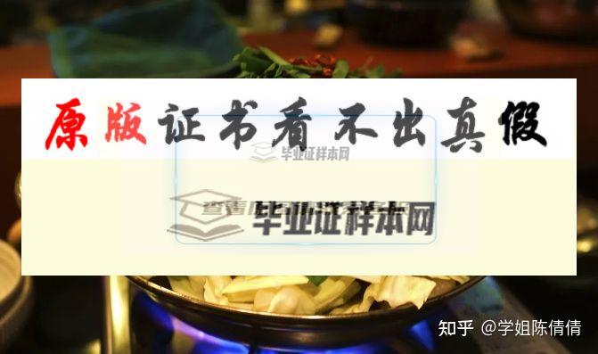 日本九州國際大學畢業證書模板