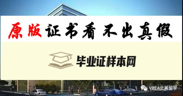 加拿大麦克马斯特大学毕业证书模板