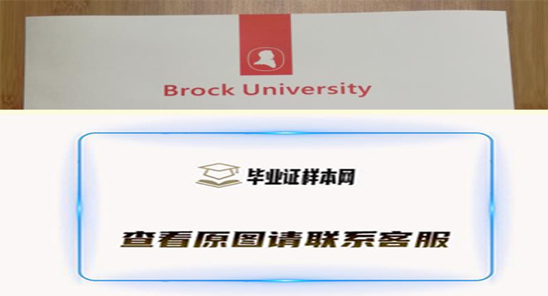 加拿大布洛克大学毕业证书模板高清图片