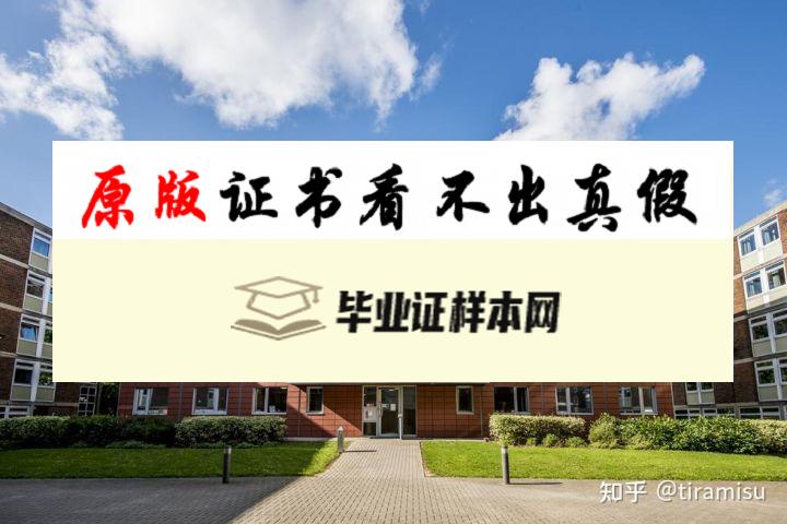 英国南安普顿大学毕业证书样本