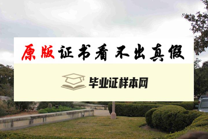 美国德克萨斯大学奥斯汀分校毕业证书模板