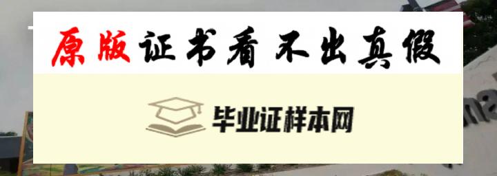 ​加州大学圣地亚哥分校毕业证书模板