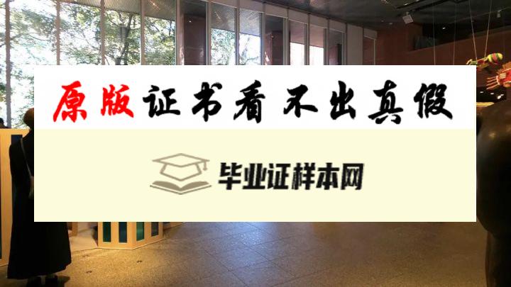 ​日本东京艺术大学毕业证书模板