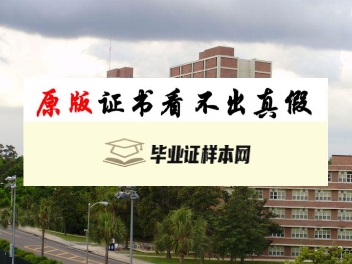 美国佛罗里达州立大学毕业证书模板