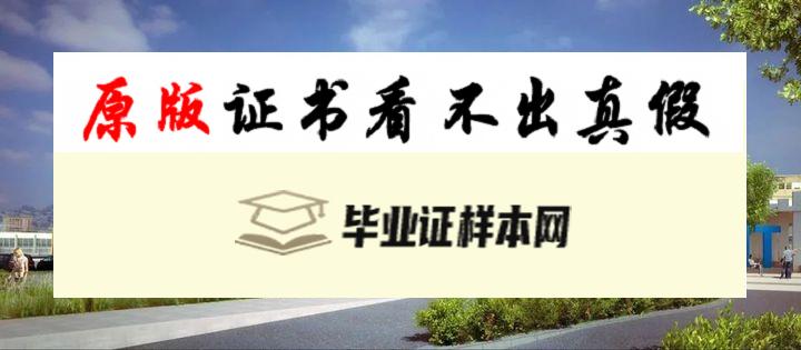 加拿大不列颠哥伦比亚理工大学毕业证书模板