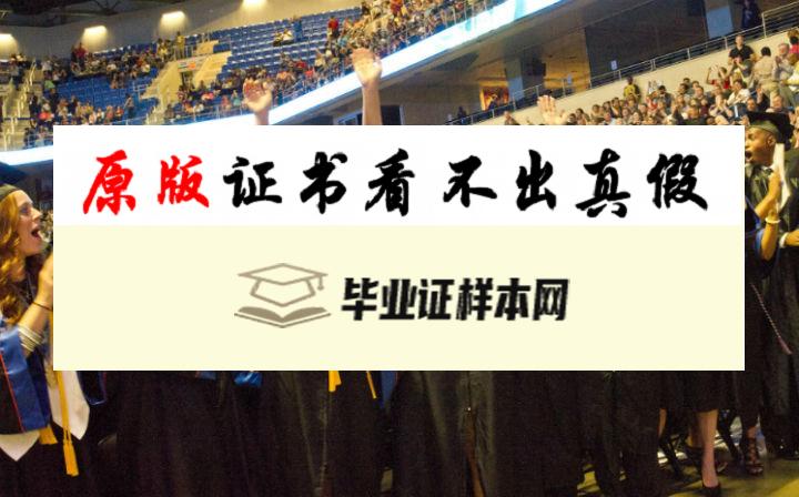 美国德州大学阿灵顿分校毕业证书模板