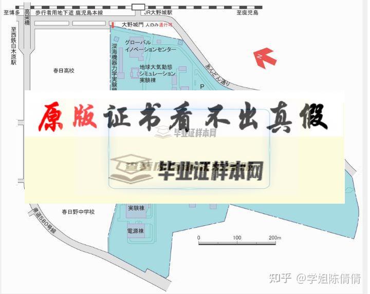 日本九州國際大學畢業證書模板