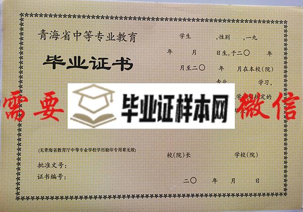 青海省2004年中专毕业证样本