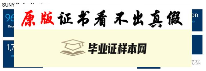 ​美国纽约州立大学毕业证书模板