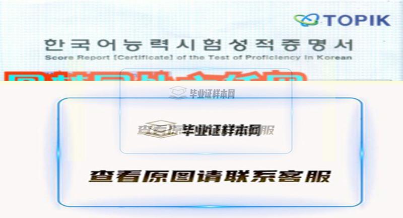 TOPIK韩国语言能力考试成绩单样本,制作韩国大学成绩单插图