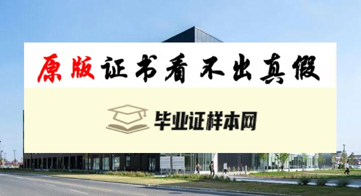 加拿大约克大学毕业证书样本