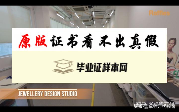 新加坡莱佛士艺术设计学院毕业证书模板