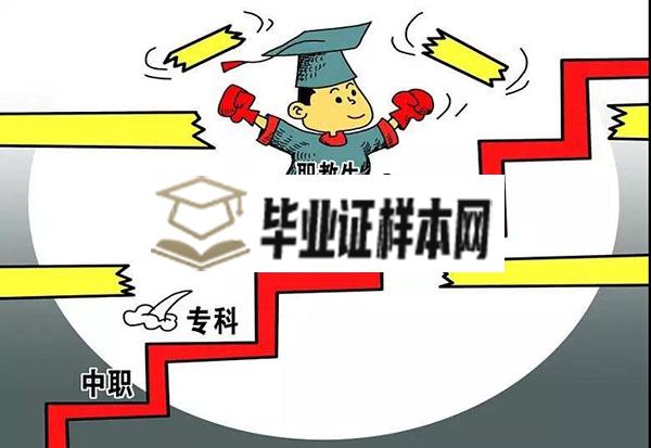 成人高考与普通大学毕业证含金量对比