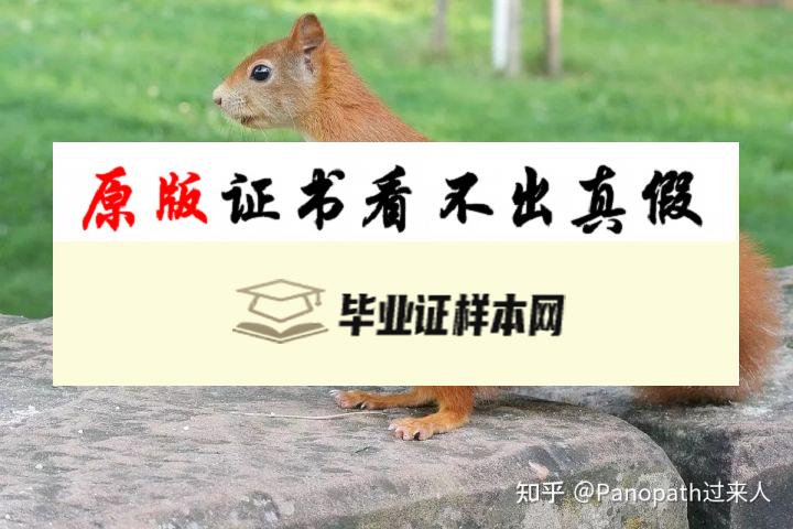 加州大学圣克鲁兹分校毕业证书模板