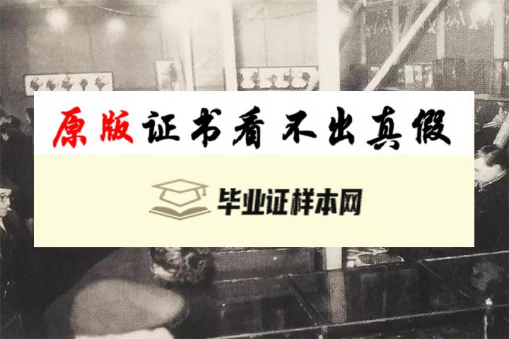 美国维也纳大学毕业证书模板