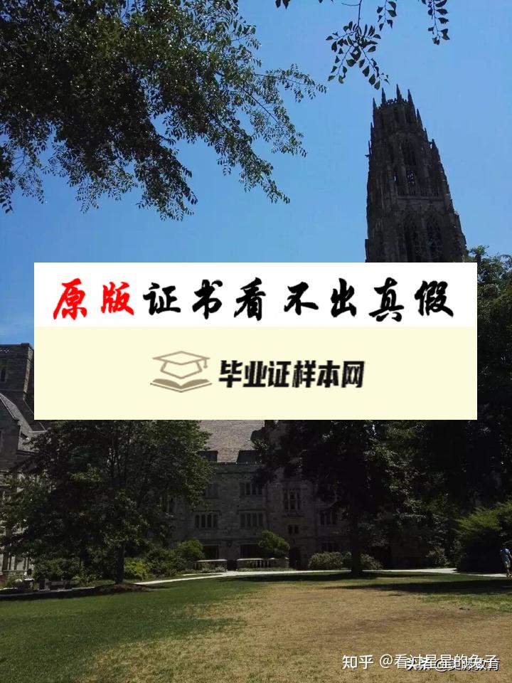 美国中佛罗里达大学毕业证书模板