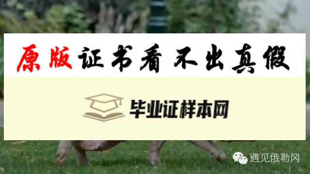 美国波特兰州立大学毕业证样本