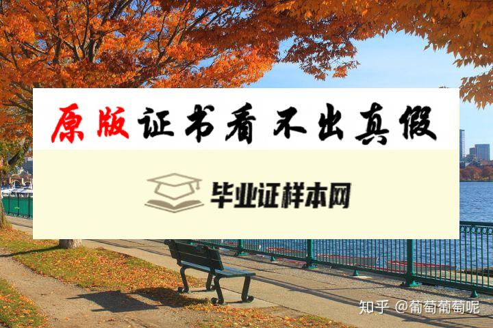 美国东北大学毕业证书模板