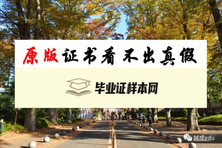 日本成蹊大学毕业证书模板