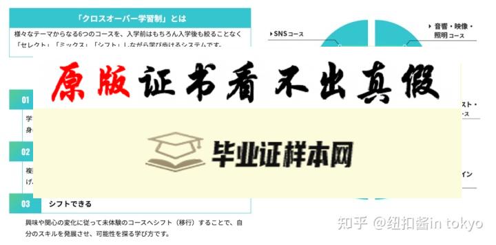 日本​尚美学园大学毕业证书模板