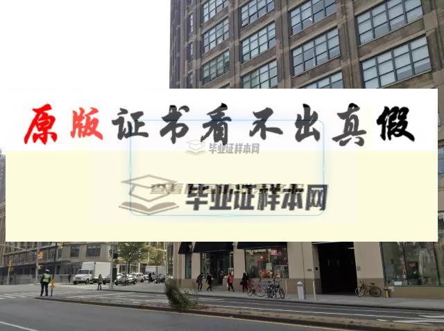 美國紐約市立大學亨特學院畢業證書模板 CUNY-Hunter  college