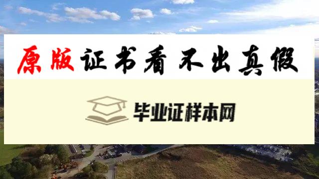 美国康涅狄格大学毕业证书模板