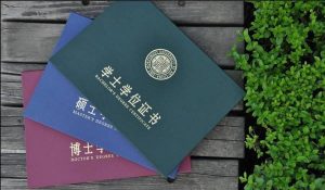 学位证丢了可以报考公务员吗