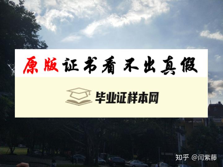 台湾中原大学成绩单模板