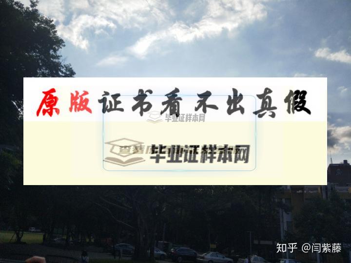 臺灣中原大學成績單模板