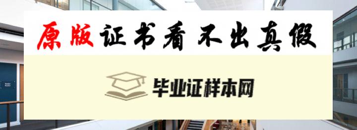 英国卡迪夫城市大学毕业证书样本