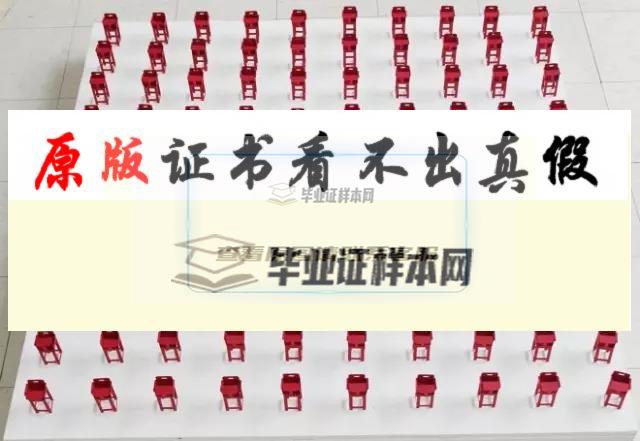 美國紐約市立大學亨特學院畢業證書模板 CUNY-Hunter  college