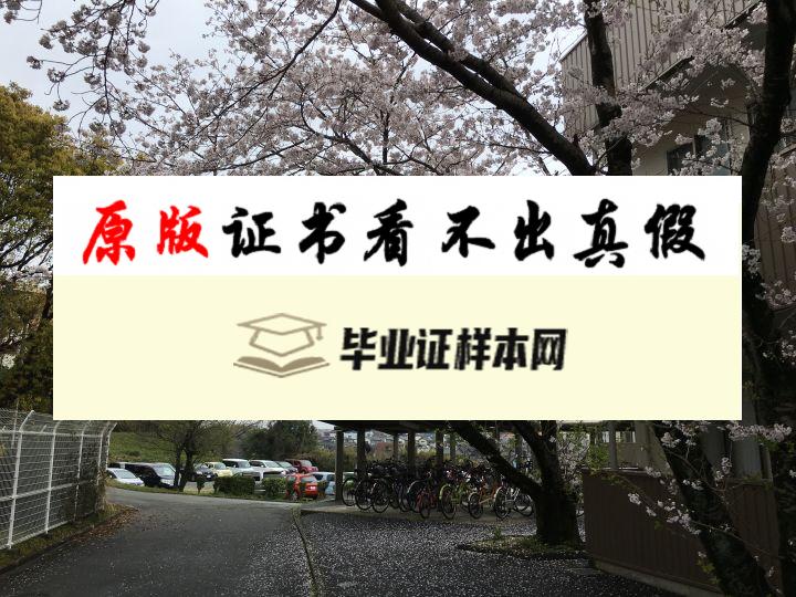 日本熊本大学毕业证书模板