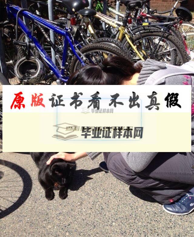?美國塔夫茨大學畢業證書模板