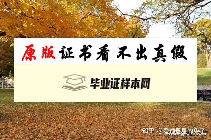 美国休斯敦大学毕业证书模板