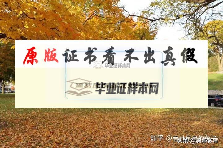 美國休斯敦大學畢業證書模板