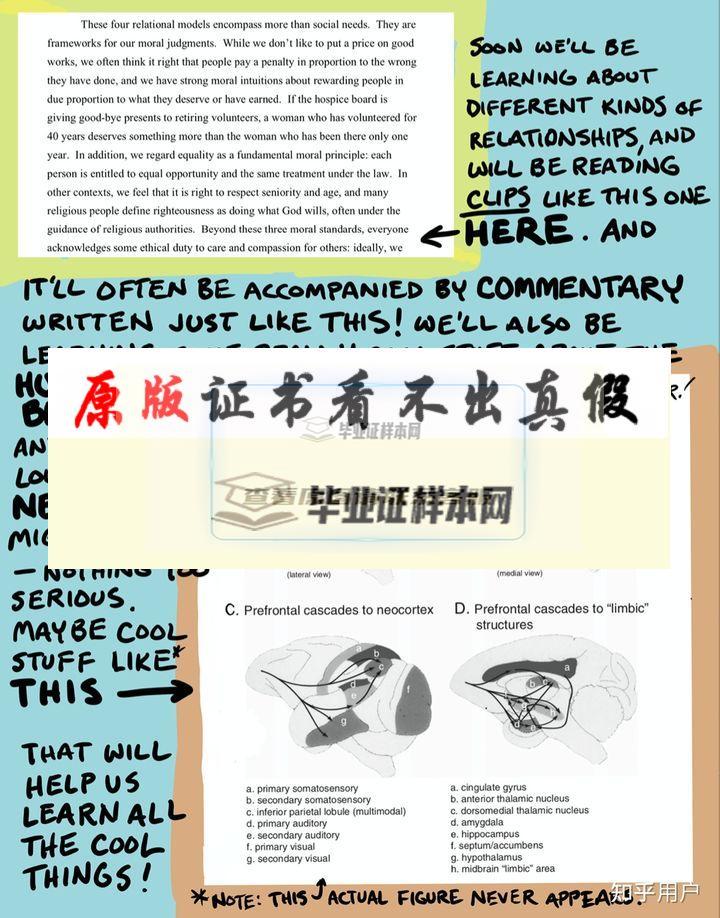美國弗吉尼亞大學夏洛茨維爾分校畢業證樣本