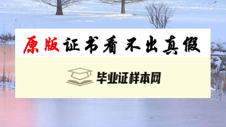 美国​康涅狄格大学毕业证书模板