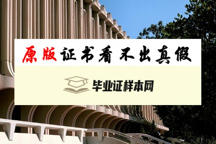 美国​加州大学洛杉矶分校毕业证书模板